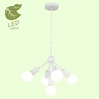 Подвесная люстра Lussole LGO GRLSP-8268 – изображение в каталоге