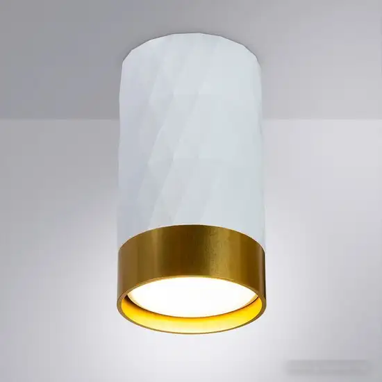 Точечный светильник Arte Lamp Fang A5558PL-1WH – фото товара