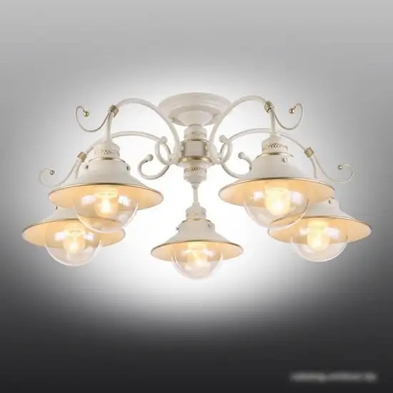 Припотолочная люстра Omnilux Torri OML-50807-05 – фото товара