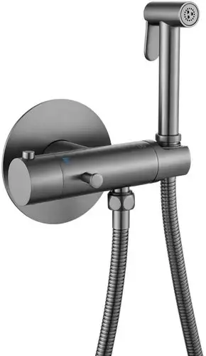 Гигиенический душ Rose R915T - изображение в каталоге