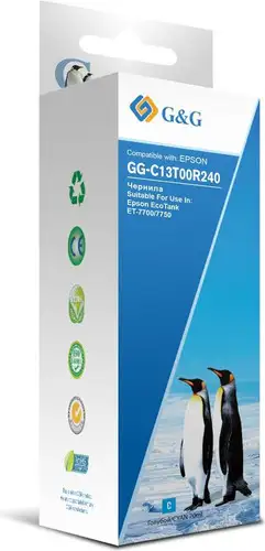 Чернила G&G GG-C13T00R240 – изображение в каталоге