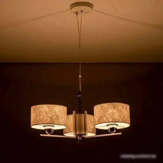 Подвесная люстра Citilux Тильда CL469130 – фото товара