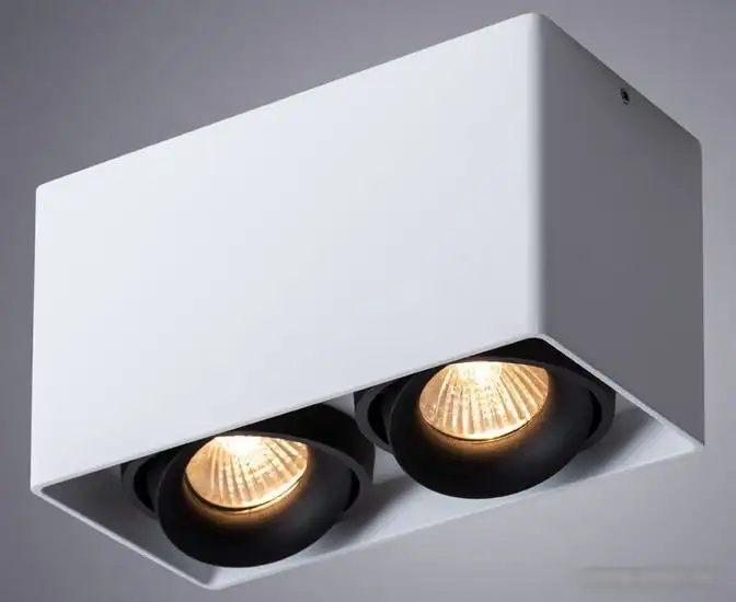 Точечный светильник Arte Lamp Pictor A5654PL-2WH – фото товара