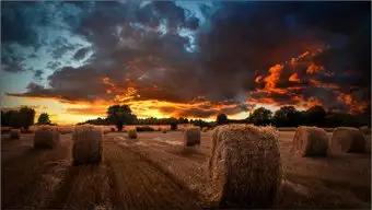 Информационная панель Samsung VM46B-U LH46VMBUBGBXCI – изображение в каталоге