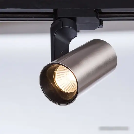 Трековый светильник Arte Lamp Bucho A2668PL-1SS – фото товара