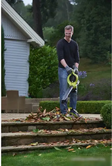 Ручная воздуходувка Ryobi RBV36B [5133002524] – фото товара