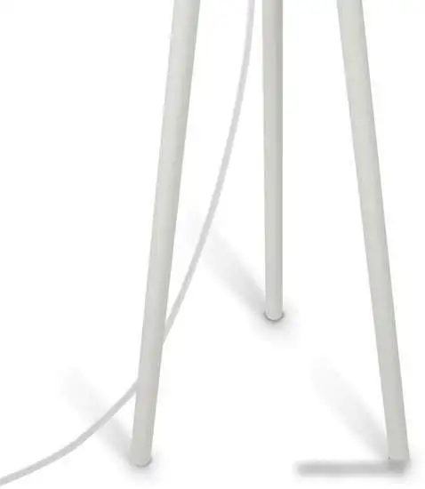 Торшер Maytoni Z177FL-01W – фото товара