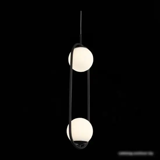 Подвесная люстра ST Luce Donolo SL395.403.02 – фото товара
