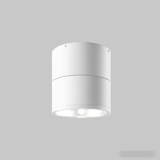 Уличный накладной светильник Maytoni Spin O310CL-L12W3K – фото товара