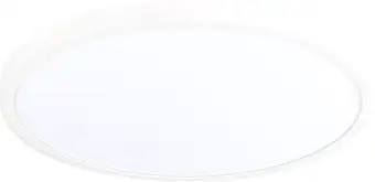 Припотолочная люстра ST Luce St601 ST601.542.48 – изображение в каталоге