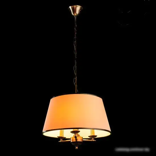 Лампа Arte Lamp Alice A3579SP-3AB – фото товара