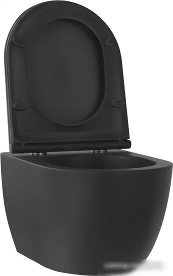 Унитаз подвесной Wellsee Chalice Perfection RimFree 182609001 (чаша, пневмокрышка, матовый черный) - фото товара