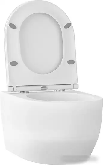 Унитаз подвесной Wellsee Croquis RimFree 182612001 (чаша, пневмокрышка, матовый белый) - фото товара