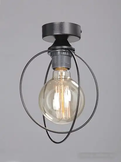 Припотолочная люстра Vitaluce V4328-1/1PL – фото товара