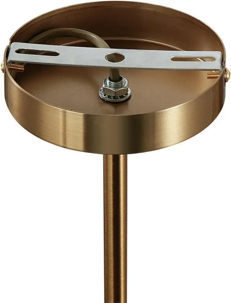 Подвесная люстра Lumion Carmela 8278/9 – фото товара