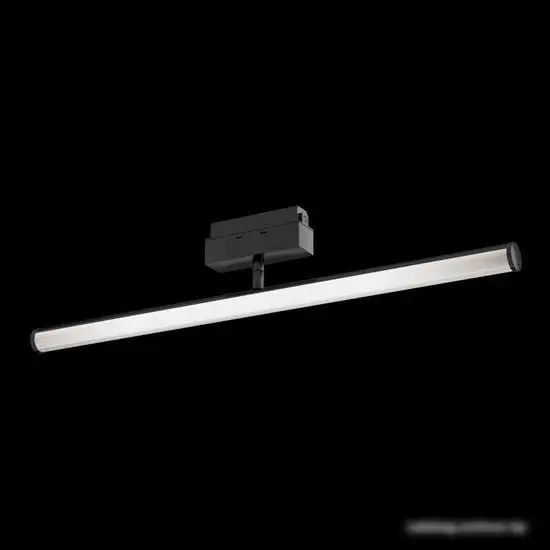 Трековый светильник Maytoni TR026-2-10B3K – фото товара