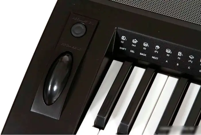 Синтезатор Medeli A800 – фото товара