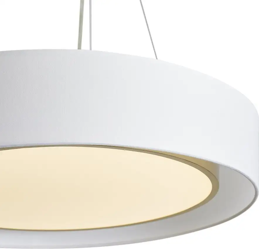 Подвесная люстра Freya Cozy FR6170PL-L52BS – фото товара