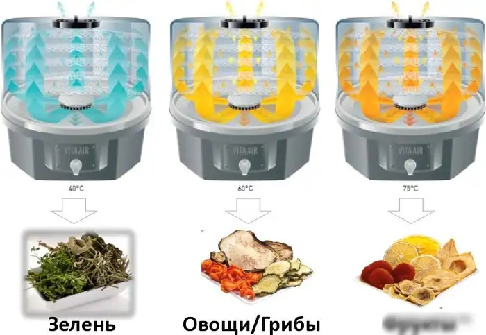 Сушилка для овощей и фруктов Tefal Fruit Air (DF100830) - фото товара