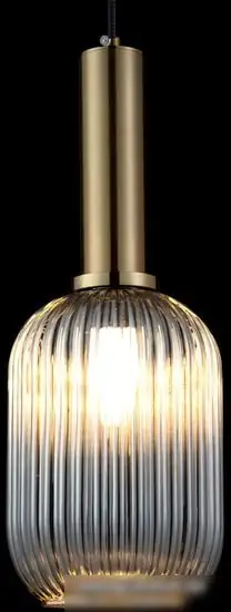 Подвесная люстра LOFT IT IRIS 2070-A+BR – фото товара