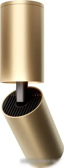 Точечный светильник Maytoni FOCUS S C051CL-01G – фото товара