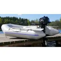 Лодочный мотор Parsun F2.6 BMS – фото товара