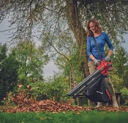 Колесная воздуходувка Einhell Venturro 18/210 3433625 (без АКБ) – фото товара