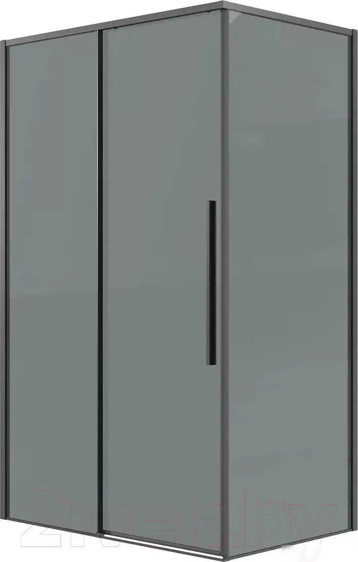 Душевая стенка Grossman Galaxy 100х195 200.K33.01.100.42.10 (графит сатин/стекло тонированное) - фото товара