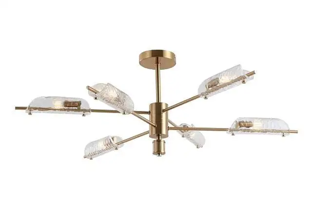 Люстра средней высоты Freya Baret FR5420CL-06BS – фото товара