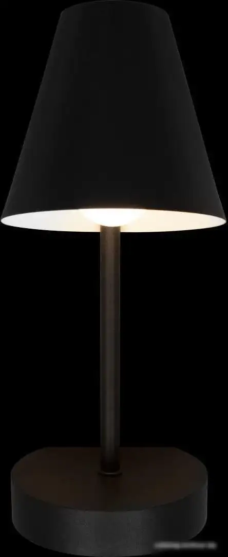 Бра LOFT IT Shelf 10216/1W Black – фото товара