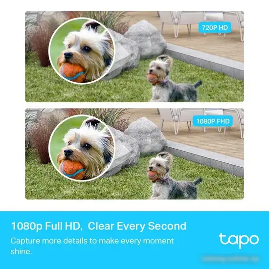 Комплект IP-камер TP-Link Tapo C400S2 – фото товара