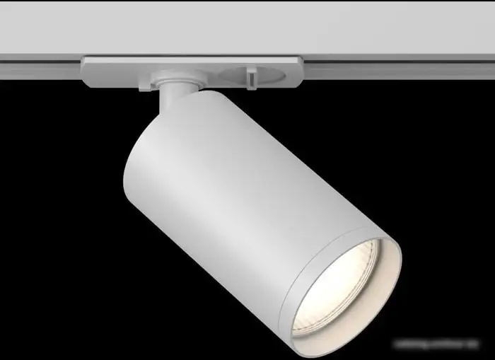 Трековый светильник Maytoni TR020-1-GU10-W – фото товара