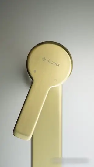 Смеситель Deante Arnika BQA R20M (золото) - фото товара