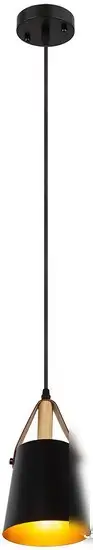 Светильник Arte Lamp Thomas A7032SP-1BK – фото товара