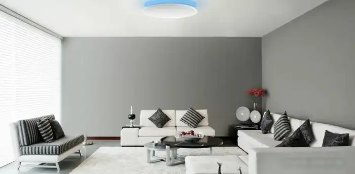 Люстра-тарелка Yeelight Arwen Ceiling Light 550C YLXD013-C – фото товара