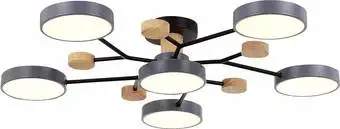Припотолочная люстра Evoluce Faema SLE6006-702-06 – изображение в каталоге