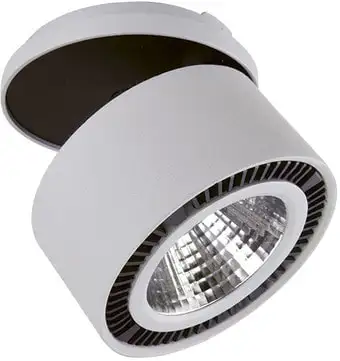 Точечный светильник Lightstar Forte inca 214849 – изображение в каталоге