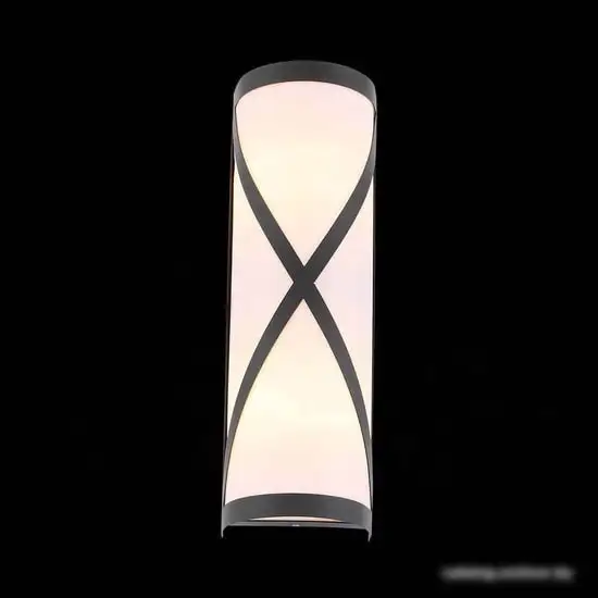 Уличный фонарь ST Luce Agio SL076.411.01