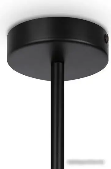 Maytoni Memory MOD177PL-04B – фото товара