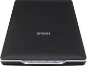 Сканер Epson Perfection V19