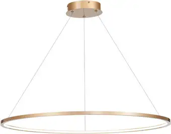 Подвесная люстра ST Luce St604 Out ST604.443.22 – изображение в каталоге