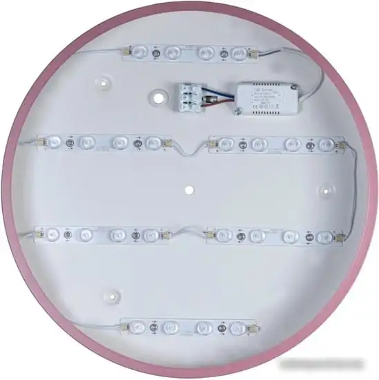 Люстра-тарелка LOFT IT Axel 10003/24 Pink – фото товара