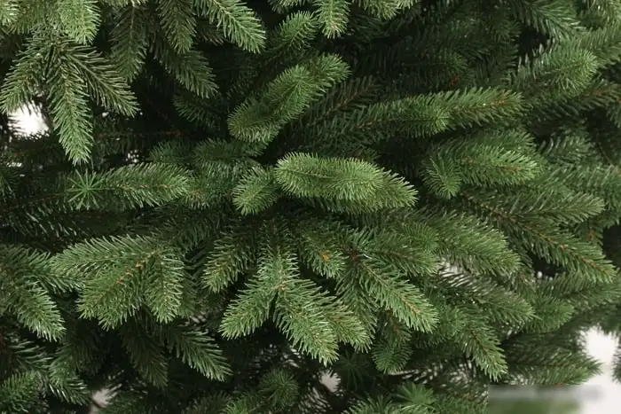 Ель Царь Елка Сапфир 1.85 м – фото товара