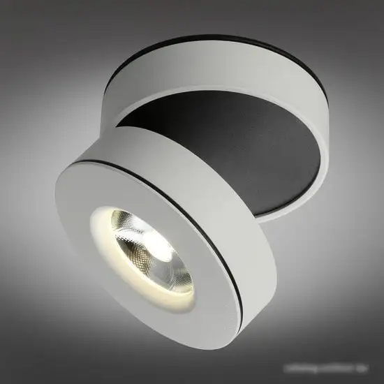 Спот Omnilux Borgetto OML-101909-12 – фото товара