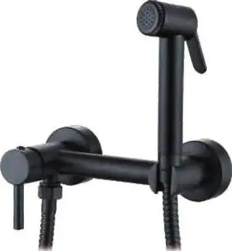 Смеситель с лейкой для биде Ledeme L5398B-6 - изображение в каталоге
