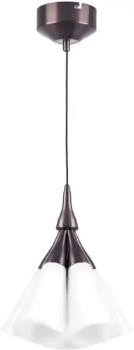 Подвесная люстра Lightstar Cone 757150 – изображение в каталоге