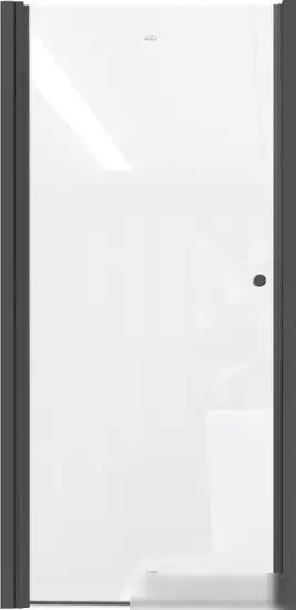 Душевая дверь Parly DE80B - фото товара