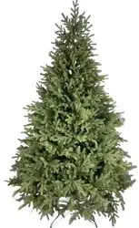 Ель Смерека-Плюс Европейская СМ-22Е 2.2 м