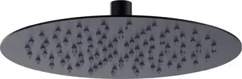 Душевая лейка Lemark LM9481BL