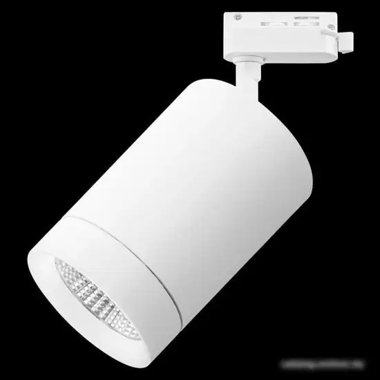 Трековый светильник Lightstar Canno 303262 – фото товара